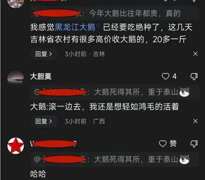 笑死了！黑龙江发感谢信，2023年旅游收入2215亿，评论区笑不活了
